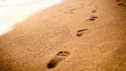 Fototapeta na wymiar Closeup image of stright line of human footprints on the golden wet sand at sea beach on the sunset