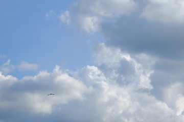 sky