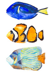 Watercolor ocean set fishes. Hand painted illustration.