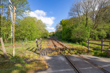 Looe Liskeard rail line