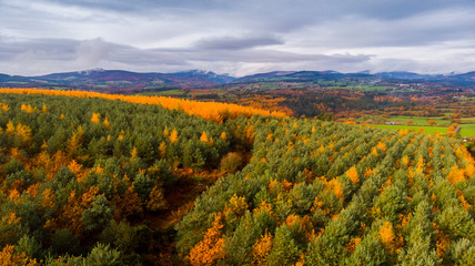 Wicklow national park Glendalough, Ireland from the drone ,areal photography