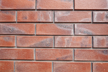 Obraz premium red brick wall
