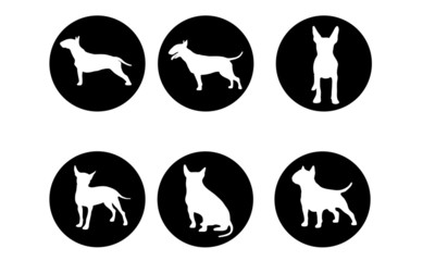 Bullterrier | Bull Terrier Vektor Icons