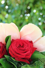 Blumenstrauß mit roten Rosen und rosa Pfingstrosen vor grünem Hintergrund in der Natur