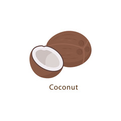 Coconut isolated on white background vector illustration in flat design.