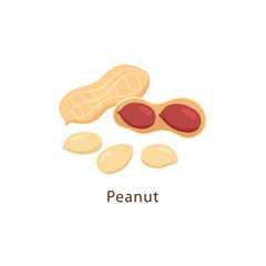 Peanut isolated on white background vector illustration in flat design.