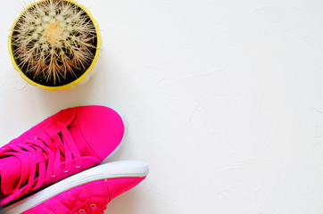 On white concrete pink sneakers and cactus