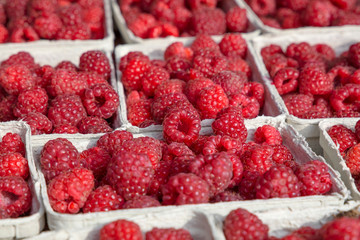 Close up fresh raspberry on retail display