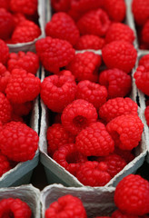 Close up red ripe raspberry on retail display