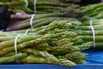 Heap of fresh green asparagus shoots close up
