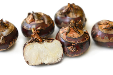 Chinese water chestnut on white background - isolated