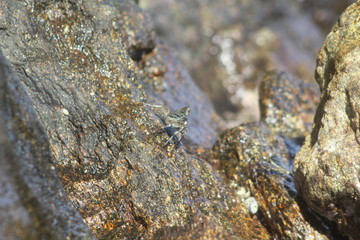 seychelles private island beach