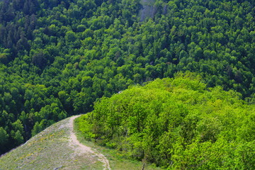 road in the forest road in the forest and the mountains of mount strelnaya Samara region, Russia