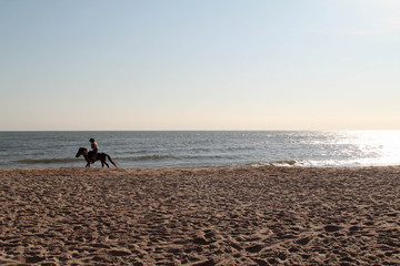Horse riding on the beach and blue sky background.