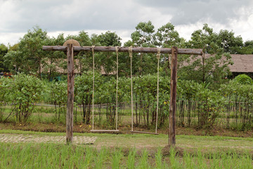 The old wooden swings on the paddy rice filed.