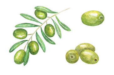 Collection of green olives isolated on white background