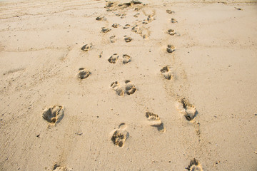 Footprints in the sand beautiful sand beach In the morning