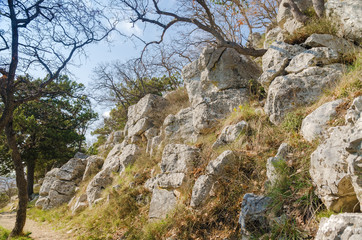 mountains scene with pathway and stones