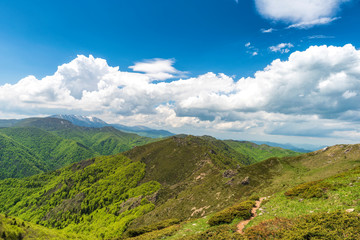 Naklejka premium Spring in Central Balkan national park in Bulgaria, Kozya stena (goat wall) reserve