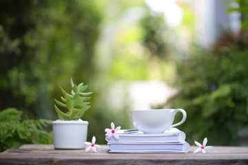 white coffee cup with plant small pot and notebooks with flowers