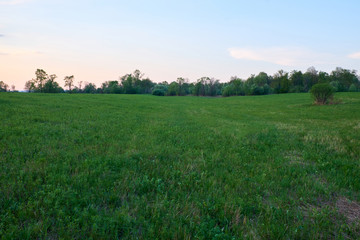 Field covered with grass in the rays of the setting sun
