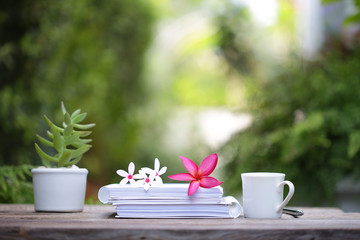 white coffee cup with plant small pot and notebooks with flowers