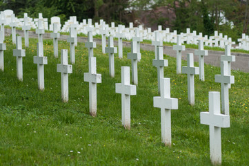 Naklejka premium closeup of white cross alignment at military cemetery
