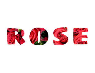 Fototapeta premium rose from word made in letters with red roses isolated on white background