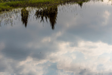 Reflections of Sky and Trees in a Lake in Wetlands in Latvia