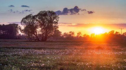 Sunset in Kazimierz © Marcin