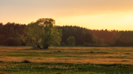 Sunset in Kazimierz © Marcin