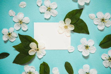 on a beautiful sky background, white wild cherry flowers and a white plate to insert text. For logo design