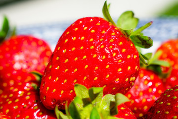 A close up view of fresh ripe strawberries - selective focus