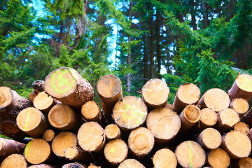 Natural wooden background - closeup of chopped firewood. Firewood stacked and prepared for winter. Pile of wood logs