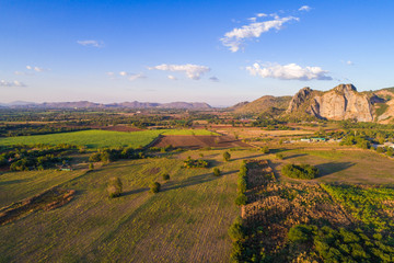 Sugarcane plantation field aerial view