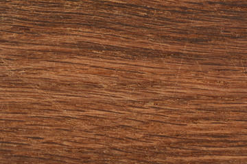 Fototapeta premium wood closeup