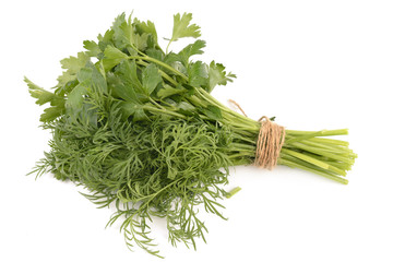 fresh herbs on a white background