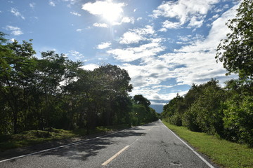 cielo carretera nubes cesped verde via bosque naturaleza paisaje arboles resplandor 