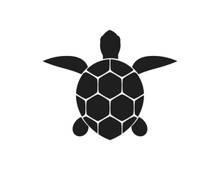 Sea turtle icon.