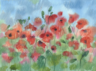 red poppies in the rain watercolor background