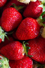 rote Erdbeere Beeren