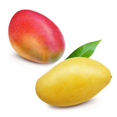 Yellow mango with red mango isolated on white background with clipping mask