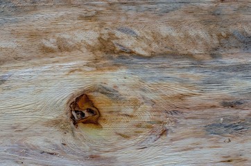 Macro photography of different textures of wood produced naturally by fungi marks, humidity, fire or by tools.
