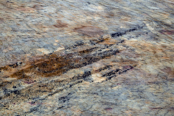 Macro photography of different textures of wood produced naturally by fungi marks, humidity, fire or by tools.