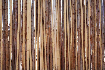 Wooden fence wall of construction of a rural forest.