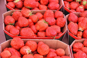 Fresh ripe organic strawberry in eco baskets with selective focus at market. Spring seasonal berries for healthy eating. Red juicy delicious strawberry in paper container. Dietary low-calorie berry 