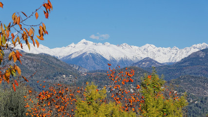 Montages du Mercantour