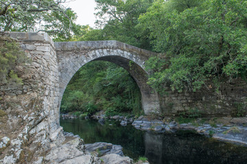 Fototapeta na wymiar puente do demo en piedra y un arco de la época mediaval y con el rio deza por debajo