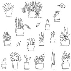 Set of monochrome hand drawn flowers in pots vector illustration