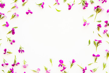 Obraz na płótnie Canvas Purple flowers on background